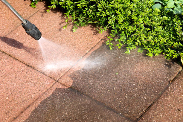 Best Roof Power Washing Services  in Dumbarton, VA